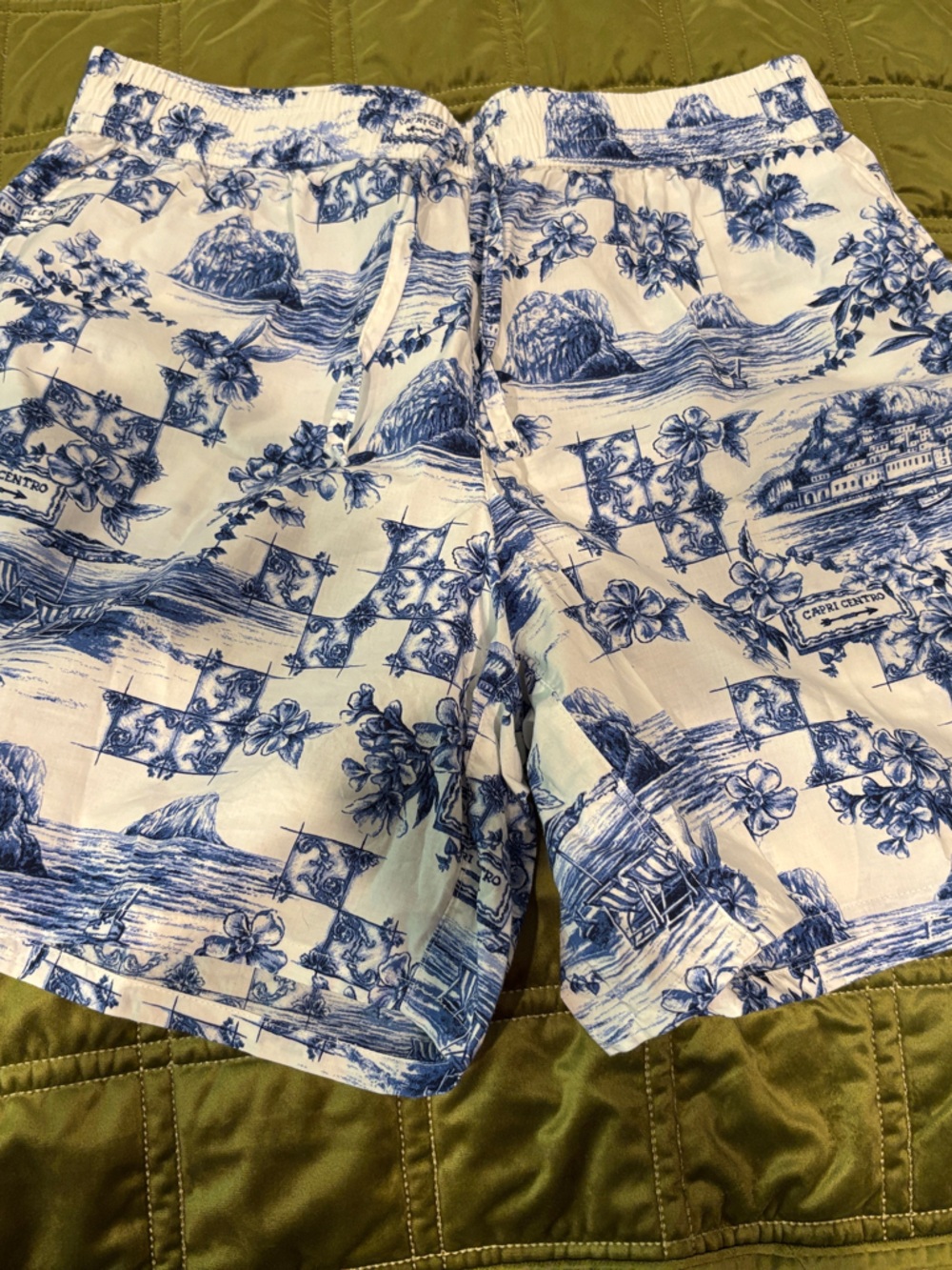 Lands' End Blue and White Scenic Print Women's Shorts